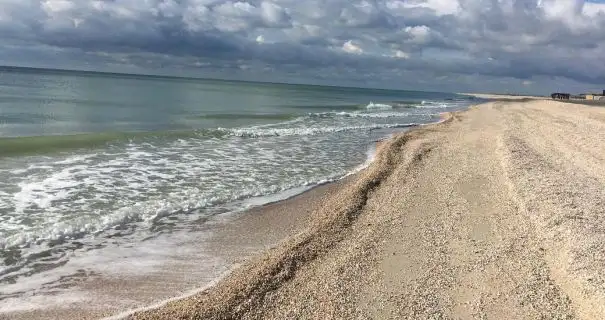 Держдума хоче заборонити вилов риби в Азовському морі