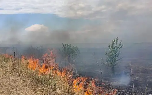 Environmental damage caused by Russia in Luhansk region amounted to almost UAH 600 billion. ІНФОГРАФІКА