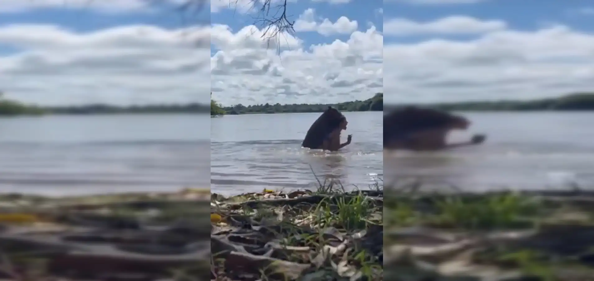 На женщину, плавающую в озере, напал самый большой в мире грызун (видео)