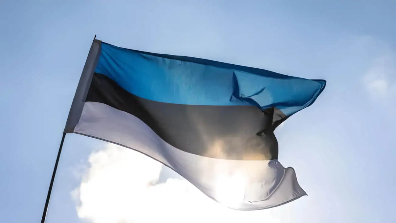 New Estonian military support package for Ukraine to arrive in first half of 2025