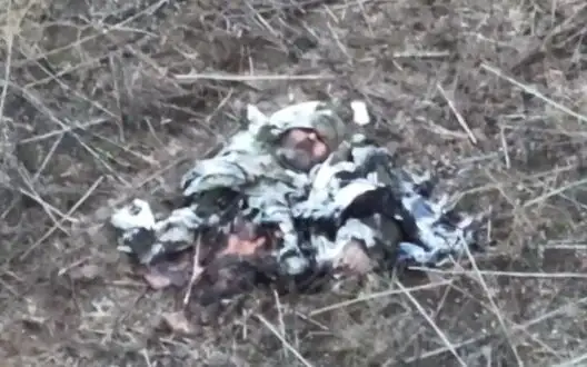 Remains of occupier with intact face lie on field road. VIDEO 18+