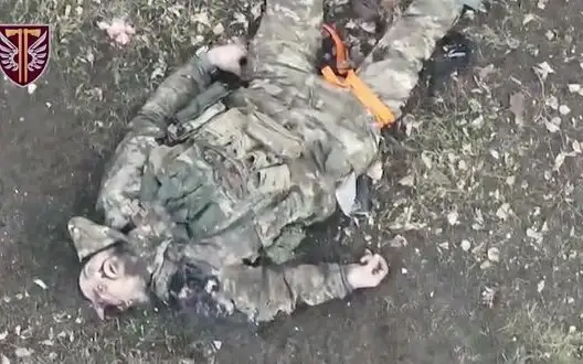 Dead Russian soldier, with Esmarch tourniquet on his leg, lies in field with his eyes open. VIDEO