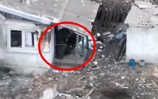 Simultaneous elimination of two occupiers standing on porch of house in occupied village by sniper shots. VIDEO