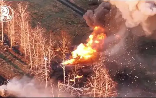 Ukrainian paratroopers together with adjacent units thwarted several enemy assaults in Kursk region. VIDEO