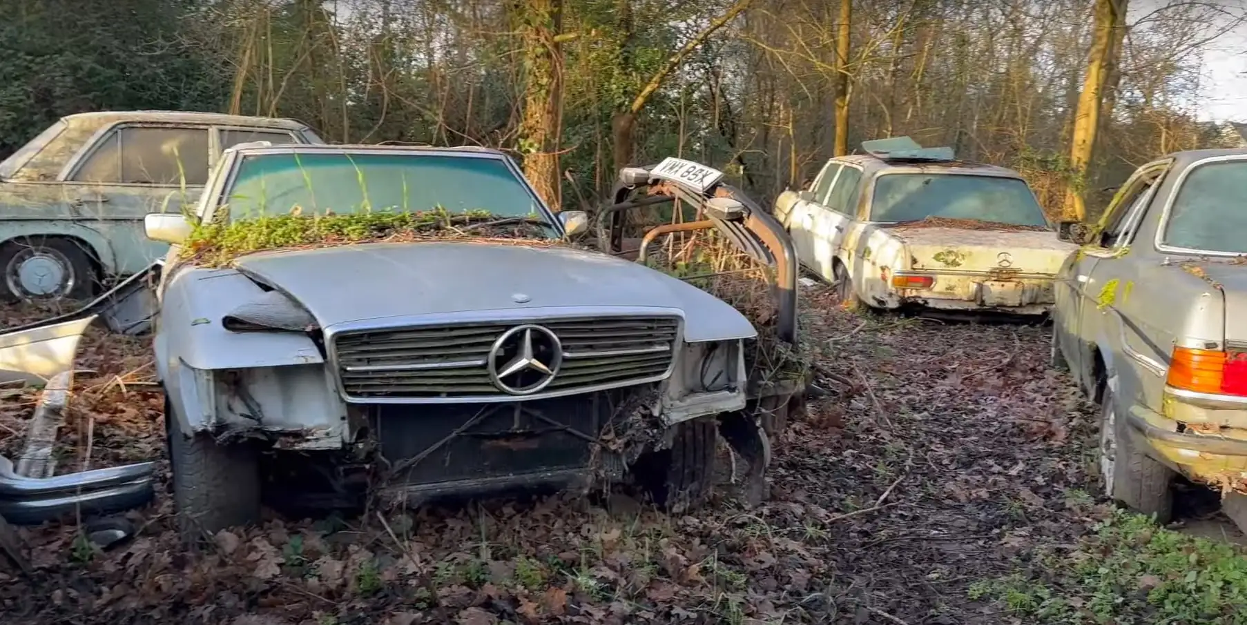 Классика во дворе: обнаружено кладбище старинных Mercedes-Benz (видео)