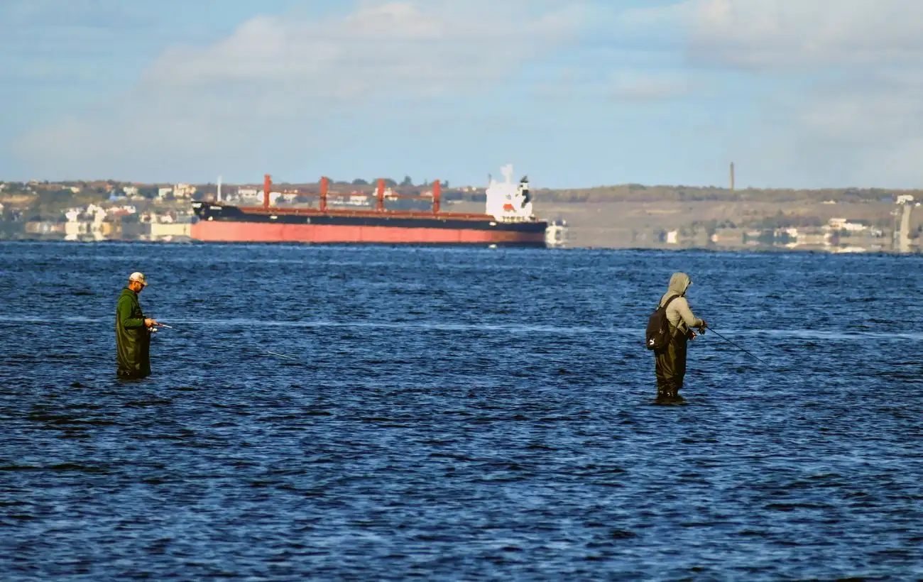 Авария танкеров РФ в Черном море: мазут добрался до берегов Одесской области