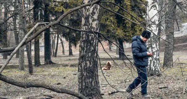 Росіяни атакували дронами Суми: фото та відео наслідків