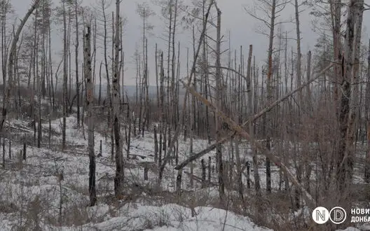 Environmental damage from war in Ukraine could reach €72 billion, - German scientists