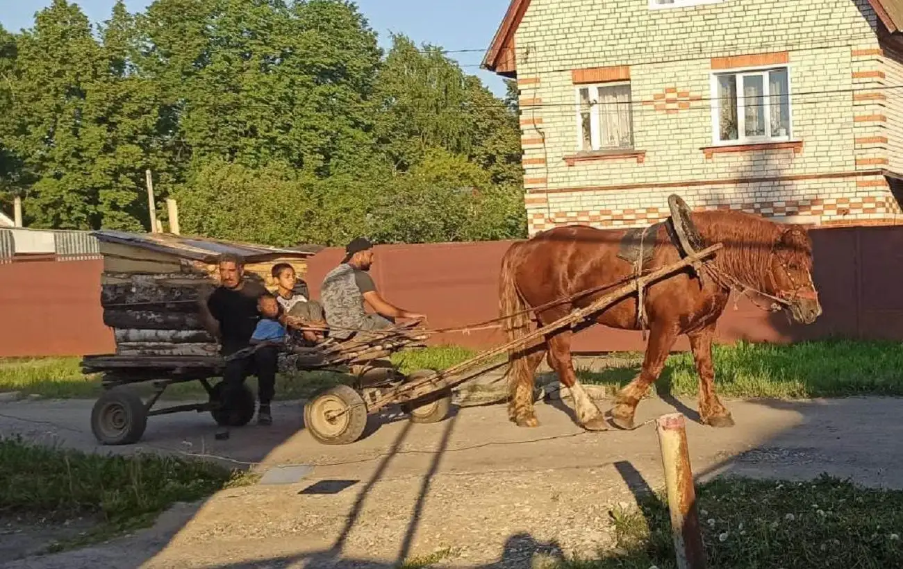 10 фактов о ромах, которые вам всегда очень хотелось узнать