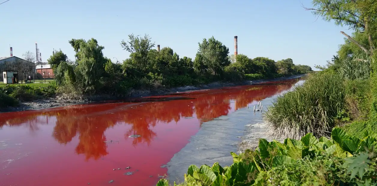 Канал в Аргентине окрасился в кроваво-красный: яркий цвет воды встревожил ученых (видео)