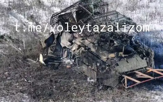 Thirteen bodies of eliminated occupiers lie scattered around destroyed Russian APC. VIDEO 18+