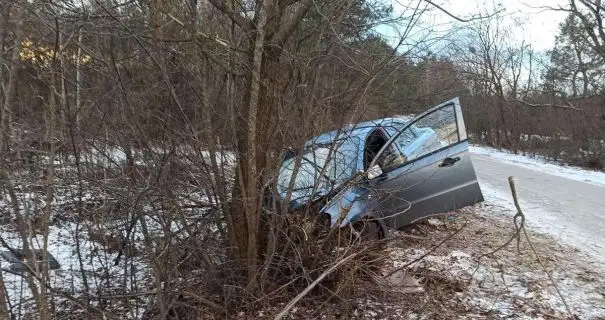 Авто влетело в дерево: в смертельном ДТП на Житомирщине погиб мужчина