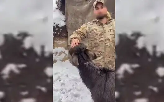 Occupier told about buying donkey at his own expense for his unit’s needs: "40 thousand rubles and here comes donkey. There is no other way out.’". VIDEO