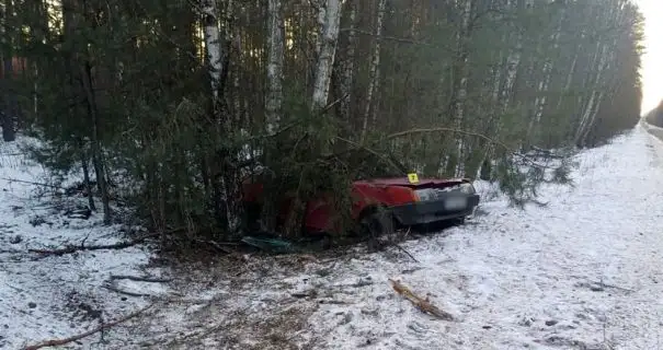 Смертельное ДТП на Житомирщине: легковушка врезалась в дерево в кювете