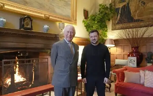 Zelenskyy met with King Charles III. PHOTOS