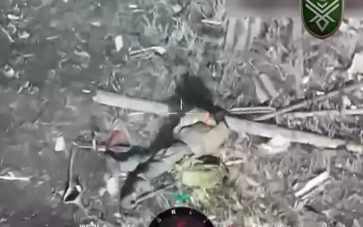 Dovbush’s Hornets killed three Russian soldiers with attack drones. VIDEO