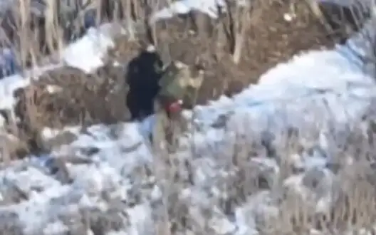 Occupier armed with two "assault" crutches was eliminated in Pokrovsk sector. VIDEO