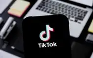 В Албанії тимчасово заблокували TikTok