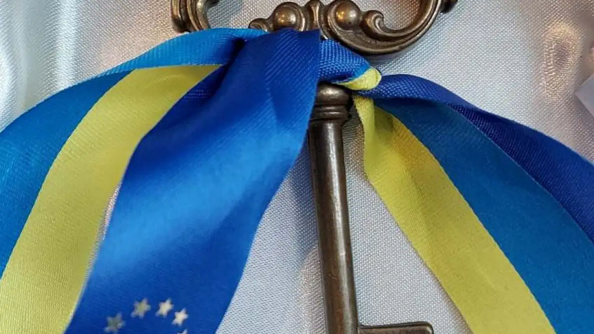 Zelenskyy asks EU to speed up developing European financial instrument for Ukraine's resilience, unblock negotiation clusters