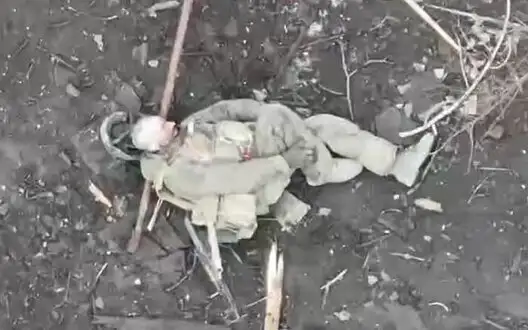 Drone operators of National Police’s Khyzhak unit destroying occupiers by drops in Toretsk. VIDEO