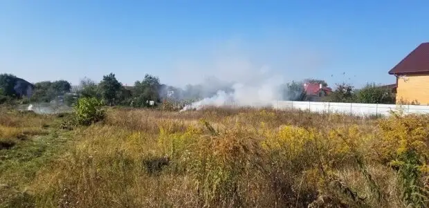 Держекоінспекція нагадала важливу заборону: штрафи та шкода для природи