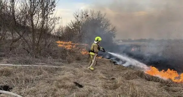 На Житомирщине во время тушения камыша нашли тело человека