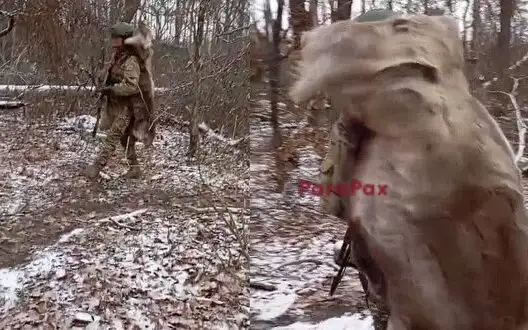 Occupier demonstrates "anti-drone" deer skin: "Tuva is strong, bro!". VIDEO