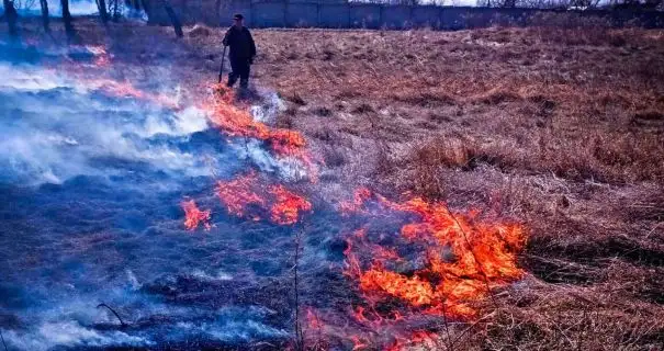 На Київщині жінка палила суху траву і спричинила масштабну пожежу