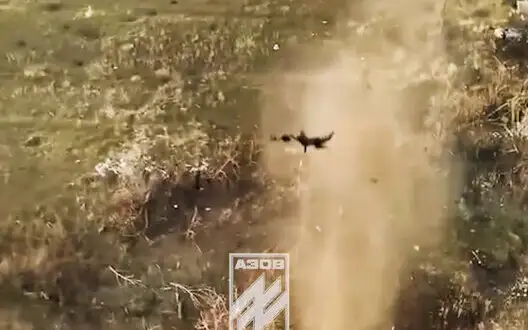 Occupier soared ten meters into air after drone drop in Toretsk direction. VIDEO