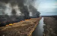 В Николаевской области горел заповедник Еланецкая степь