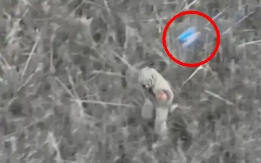 Direct hit of drone to head of occupier walking through weedy field. VIDEO