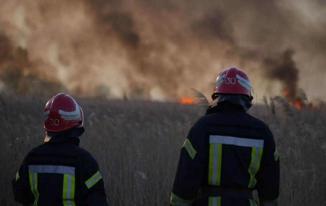 В Одеській області масштабна пожежа: через вітер вогонь перекинувся на нацпарк