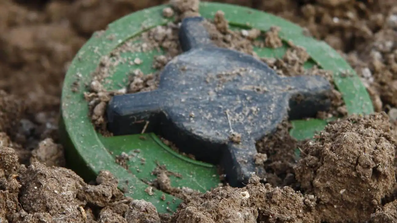 Poland wants to plant landmines on its borders with Russia and Belarus