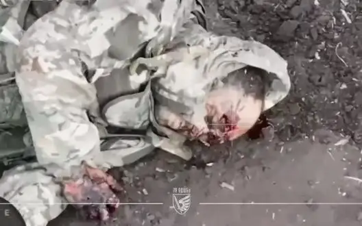 Soldiers of 79th SAAB filmed scattered bodies of several Russian assault groups in Novopavlivka direction. VIDEO 18+