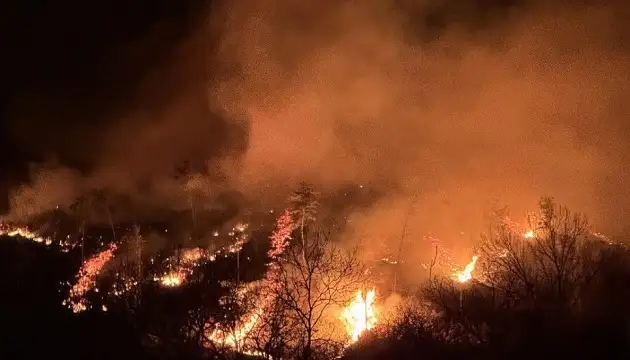 У Південній Кореї вирують масштабні лісові пожежі — фото