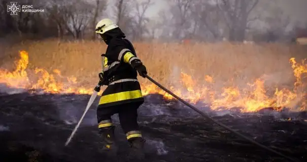 Масштабна пожежа на Київщині: вогонь знищив будівлі та охопив 60 гектарів