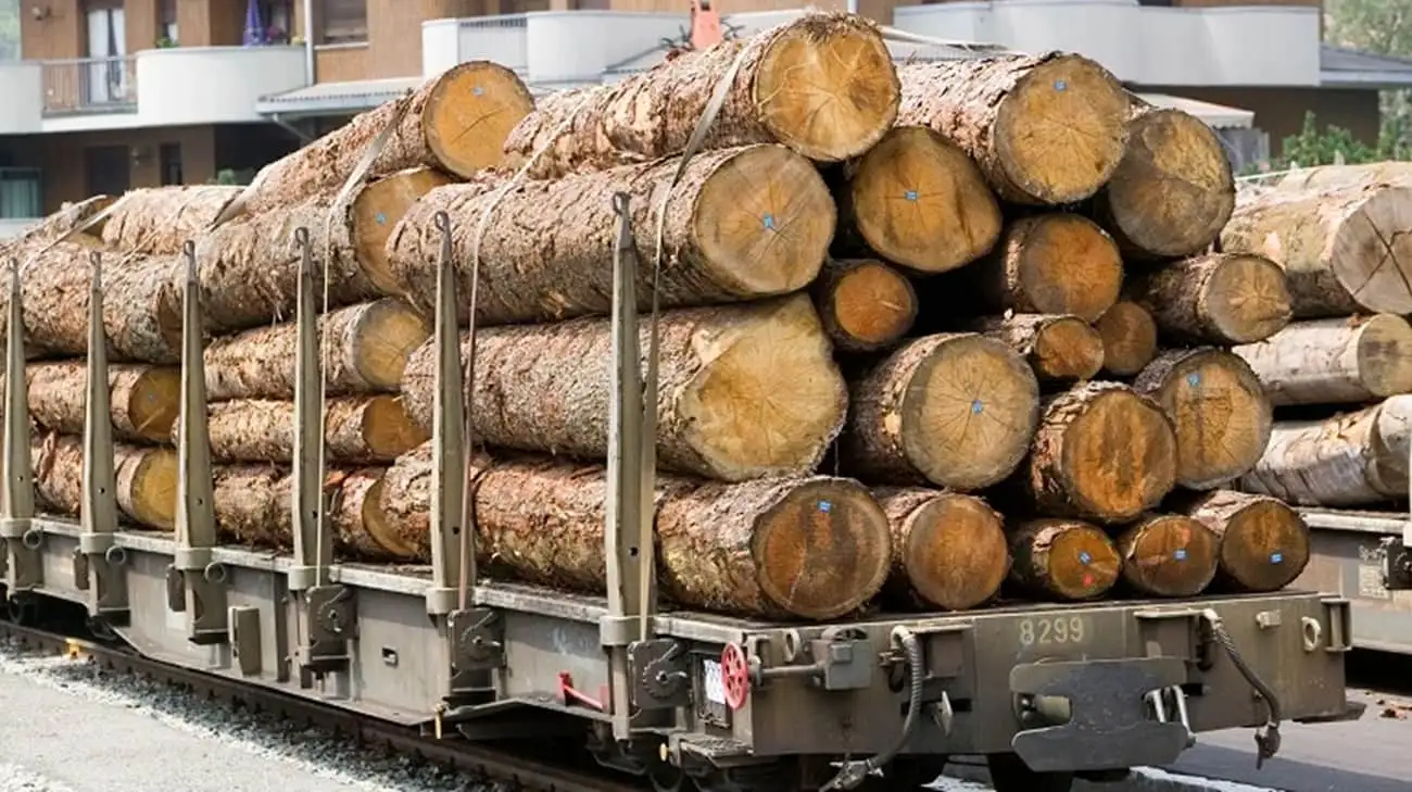 Poland blocks exports of Ukrainian timber