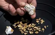 В Индии открыли большие месторождения золота
