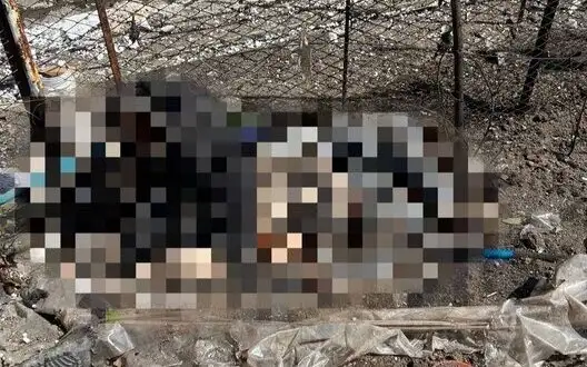 Occupier shelled Kherson with artillery: one killed and one wounded