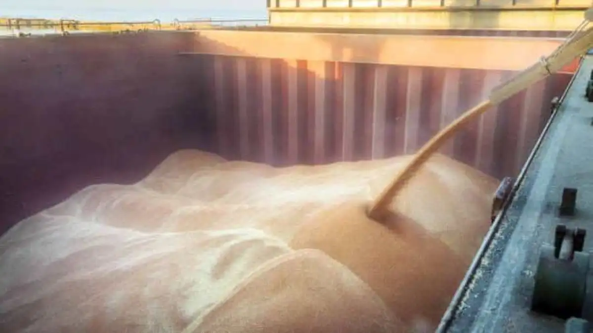 Grain export rates lag behind last year's by 5 mln tonnes - Agrarian Ministry