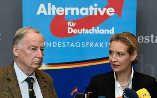 "Alternative for Germany topped party rankings in Germany with 26%.