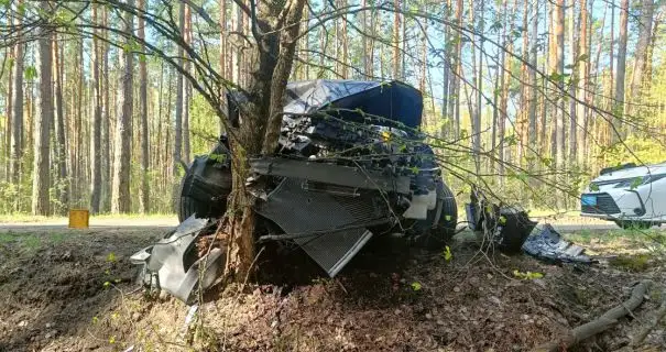 На Черниговщине легковушка врезалась в дерево: пострадала водительница и двое маленьких детей