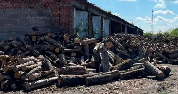 У Запорізькій області за дрова для ЗСУ переплати 20 мільйонів