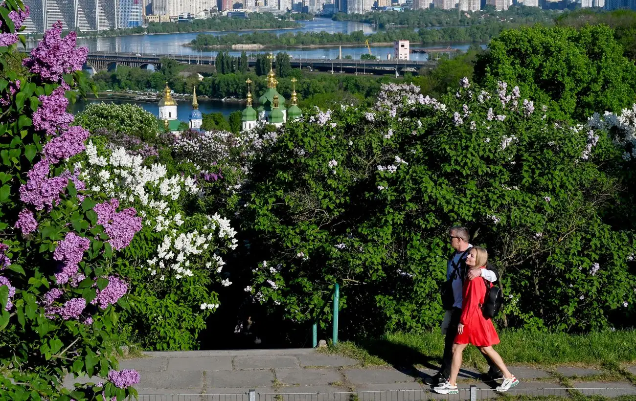 Где в Киеве расцвела сирень: лучшие места для прогулок и фото