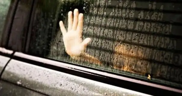 Силою заштовхав в авто: на Київщині чоловік намагався викрасти 6-річну дівчинку