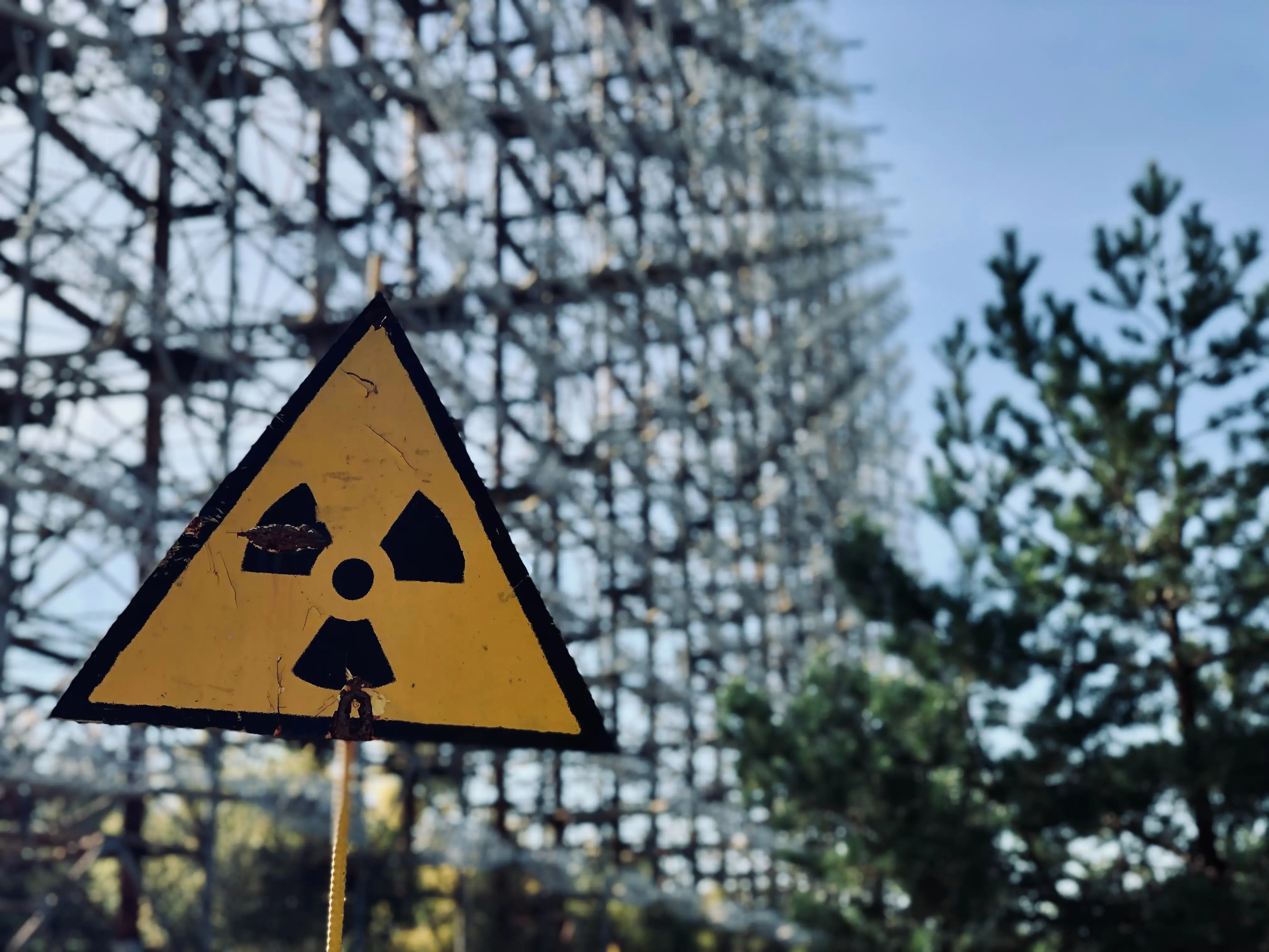 20 тыс. гектар вокруг Чернобыля пригодны для сельского хозяйства: только одна культура под запретом