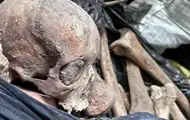 Скандал у Києві: знайдено 10 тон людських кісток