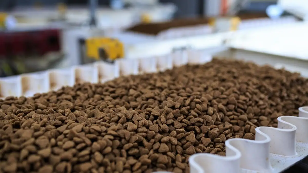 Ukraine's Kormotech aims for EUR 500 mln in revenue by 2028
