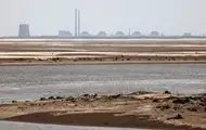 Не діставайся ж ти нікому: хто і чому має контролювати ЗАЕС