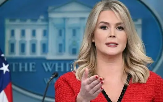 Minerals deal shows how committed Trump is to peace in Ukraine – White House